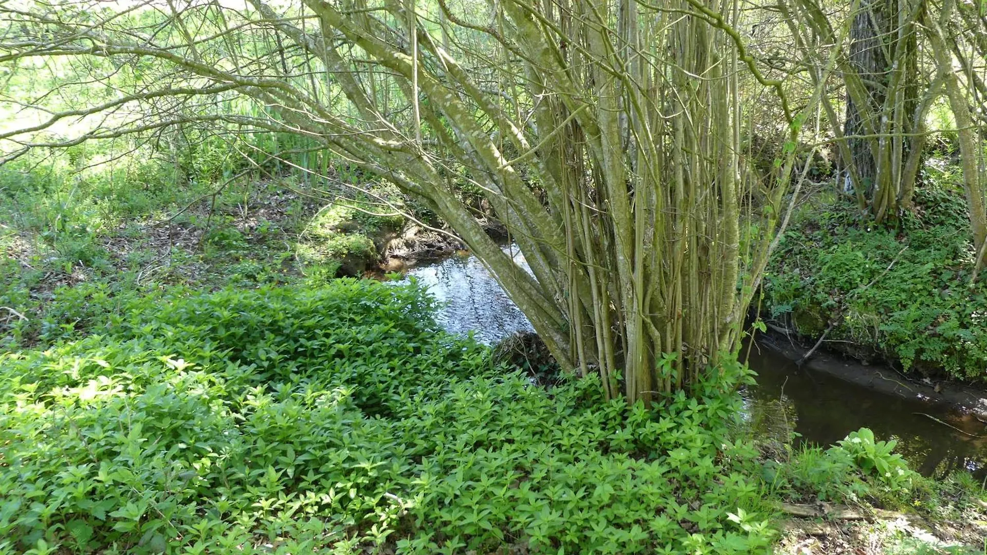 Villa Squibernévez à Pédernec