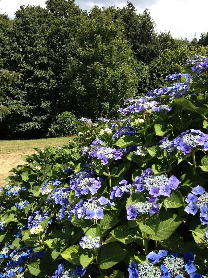 Les Tregorines-Squibernevez Villa Pedernec Holiday home